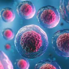 TRASPLANTE DE PROGENITORES HEMATOPOYETICOS Y CAR-T CELL (SESIÓN PLENARIA).