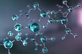 CURSO O TALLER DE BIOLOGÍA MOLECULAR